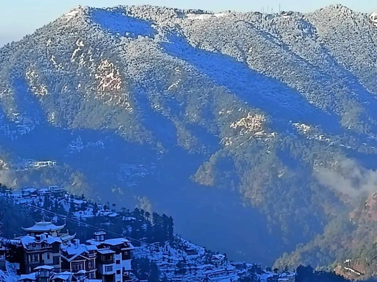 ***  The Grand Madhushala Hotel Shimla India